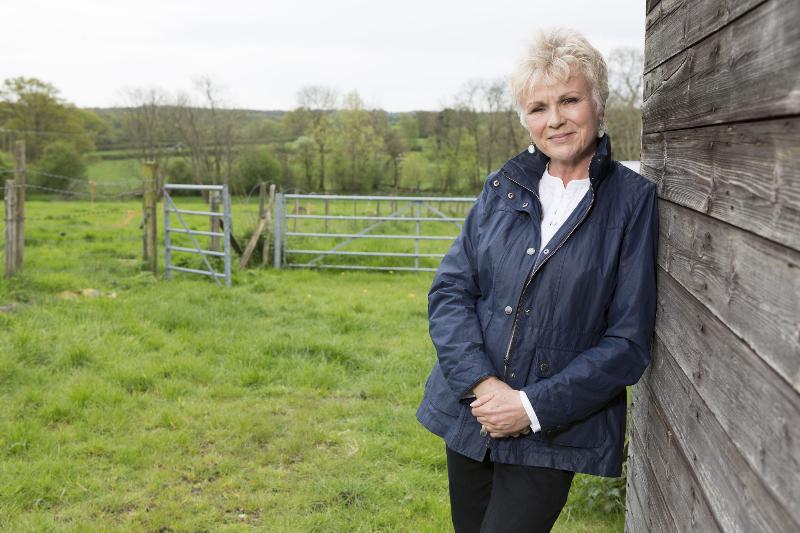 Julie Walters on Who Do You Think You Are?