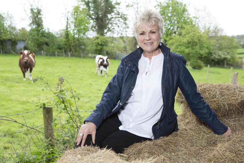 Julie Walters on Who Do You Think You Are?