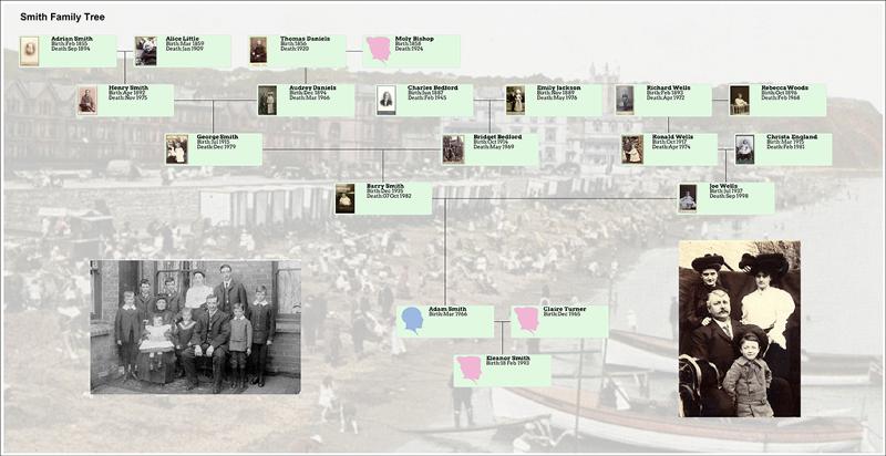 family tree maker 2014 platinum