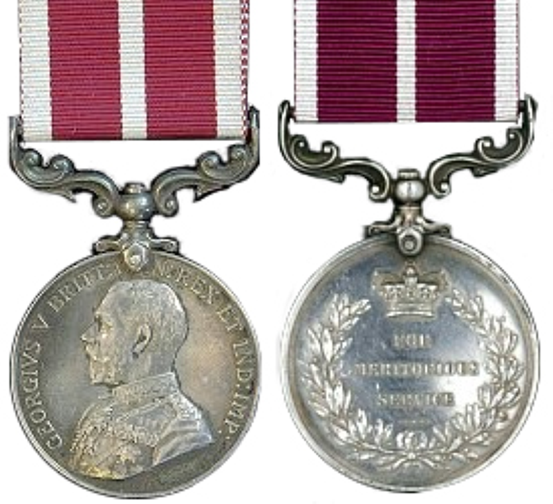 Meritorious Service Medal (MSM)